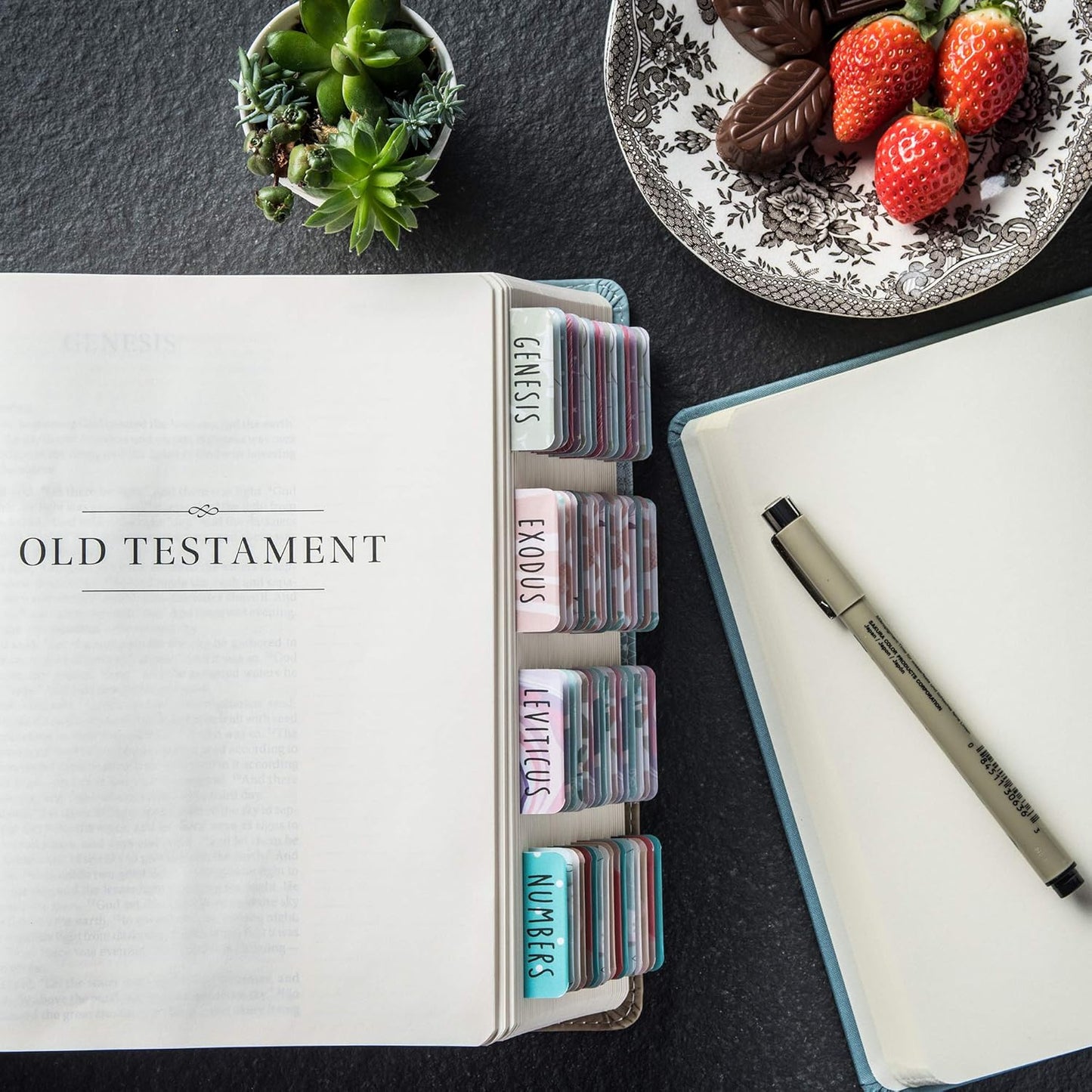 Bible Tabs (84 Tabs) ($14.99 value)